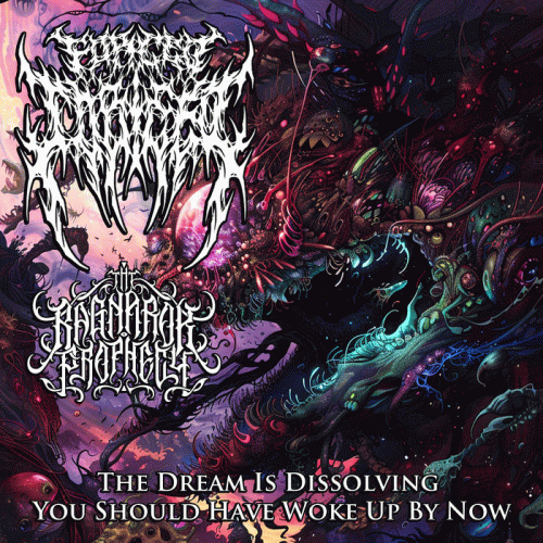 The Dream Is Dissolving You Should Have Woke Up By Now